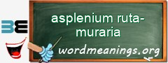 WordMeaning blackboard for asplenium ruta-muraria